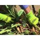 thumbnail image 2 of Guantes MidWest Max Grip Pack, 3 pares, para mujer, verdes 93P03, 2 of 3