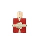 thumbnail image 1 of Perfume Aromatix Carnal Desire 2025, 1 of 4
