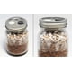 thumbnail image 5 of Tapa para frascos Mason Root Mushroom Farm, 6 piezas, filtro PTFE, 5 of 6