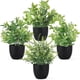 thumbnail image 1 of Plantas Artificiales Maceta Pack 4 18 Cm Sin Riego, 1 of 3