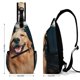 thumbnail image 2 of Golden Retriever Riñonera Bandolera con Estampado Integral para Hombres y Mujeres, Bolso Cruzado Gráfico de Tendencia, Mochila de Hombro Streetwear para Ciclismo y Deportes, Riñonera Versátil Casual, 2 of 6