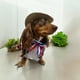 thumbnail image 2 of Bandana Huasa Elegante S, 2 of 3