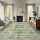 thumbnail image 1 of Alfombra de Área AMADA HOMEFURNISHING Verde Lavable 240x300 cm, 1 of 9