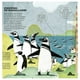 thumbnail image 2 of Animales viajeros blanco, 2 of 3