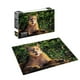 thumbnail image 2 of Puzzle 500 Piezas Fauna Chilena Puma, 2 of 2