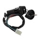 thumbnail image 5 of Kit completo de cableado CDI, bobinas de encendido, juego de mazos de cables, reconstrucción de bujías para ATV Quad de 4 tiempos (150 cc-300 cc), 5 of 7