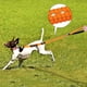 thumbnail image 4 of Correa resistente para perros grandes de hasta 40 kg, reflectante para entrenamiento de paseo, con amortiguación elástica y hebilla para cinturón de seguridad de coche, 2 asas acolchadas para mayor co, 4 of 8