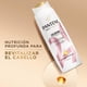 thumbnail image 3 of Shampoo Pantene Nutritivo Pro-V Miracles Colágeno Nutre & Revitaliza, 510 ml, 3 of 6