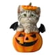thumbnail image 2 of Estatua De Gato Con Forma De Calabaza De Halloween Para Estantería, Centro De Mesa De Sala De Estar, 2 of 5