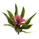 thumbnail image 1 of Bromelia con tallo de flor artificial casi natural, 28 cm, juego de 6, 1 of 3