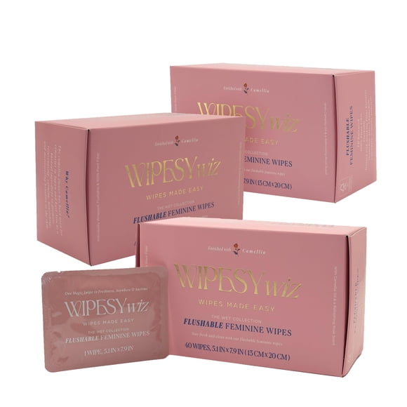 Toallitas Femeninas WipesyWiz 3 Pack/120 Unidades Descartables