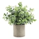 thumbnail image 4 of Planta Suculenta Falsa Artificial En Maceta Mini Plantas En Maceta Decoración De Jardín Para El Hogar Desmodium, 4 of 5