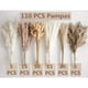 thumbnail image 2 of 110pcs Dry Dandelion Reed Bouquet, Boho Table Decor, Rabbit Tail Dried Flower, Brown Dandelion Reed, White Dandelion Reed For Wedding, Home, Country Party, Baby Shower Decoration, 2 of 2
