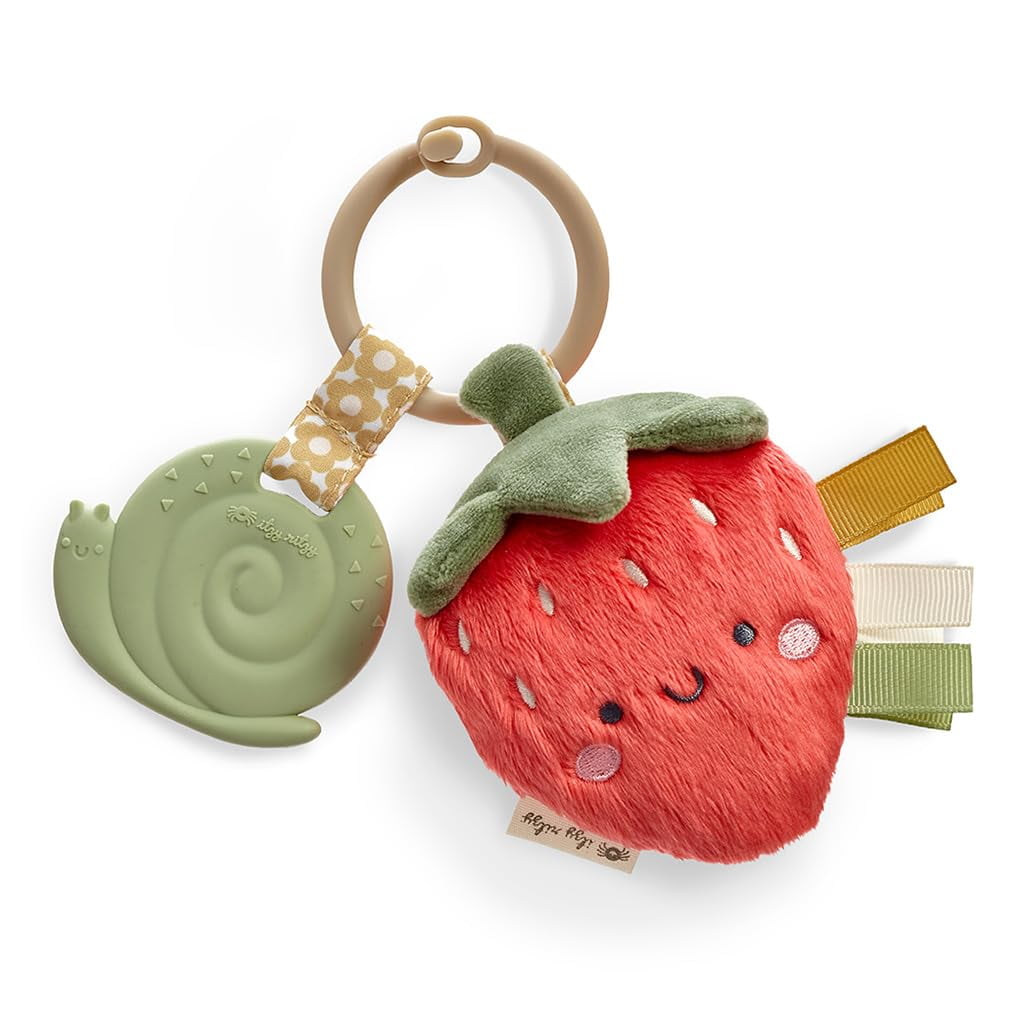Juguete Infantil Teether Itzy Ritzy Itzy Pal Con Lovey Y Silicona