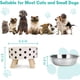 thumbnail image 2 of Xiao Hua Tazón de Comida y Agua para Mascotas, Juego de 2 Piezas de Acero Inoxidable, Adecuado para Gatos, Cachorros, Tazón para Mascotas de Lunares, 2 of 4