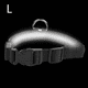 thumbnail image 2 of Collar LED para perro recargable por USB: collar luminoso brillante y de alta visibilidad para paseos nocturnos de mascotas., 2 of 5