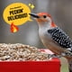 thumbnail image 5 of Bird Seed Cool Birds Hearts on Fire Hot, girasol descascarado de 4,54 kg, 5 of 9