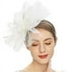 thumbnail image 1 of Elegant Fascinators Hat for Women - Perfect for Tea Parties, Kentucky Derby, Weddings, and Cocktail Parties - Features Mesh, Feathers, and Flower Decorations, 1 of 5
