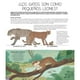 thumbnail image 2 of Un mundo de gatos de Editorial Contrapunto, 2 of 6