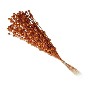 Bothyi - Falsa Baya Tallos Decoración Simulación Flor Plantas Guirnalda Fiesta Naranja