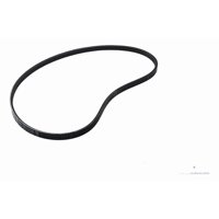 Correa De Distribucion Gm 24579487