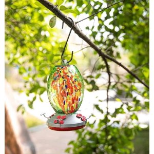 D&M - Bebedero Y Comedero De Colibrí