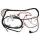 thumbnail image 4 of Kit completo de cableado CDI, bobinas de encendido, juego de mazos de cables, reconstrucción de bujías para ATV Quad de 4 tiempos (150 cc-300 cc), 4 of 7