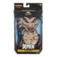 thumbnail image 1 of Jean Grey Marvel Marvel Legends Series 6 Pulgadas, 1 of 2