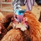 thumbnail image 4 of 6 sombreros de pollo para gallinas, mascotas pequeñas, divertidos accesorios de pollo, sombrero de copa de plumas con elástico ajustable., 4 of 7