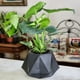 thumbnail image 2 of Macetero De Plastico Moderno Ancho 17cm Alto 30cm, 2 of 6
