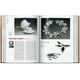 thumbnail image 4 of Diseño Escandinavo. 40th Ed., 4 of 4