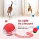 thumbnail image 2 of Juguete interactivo para gatos Tchernt Speed 2.0 Tail con chirrido, 2 of 9