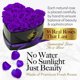thumbnail image 2 of Bouquet de rosas preservadas | GLAMOUR BOUTIQUE Flowers, 2 of 8