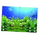 thumbnail image 5 of Fondo De Imagen De Pez De Planta Adhesivo único 3D De Alta Definición Para Acuario XS, 5 of 5