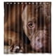 thumbnail image 1 of Cortina de ducha con diseño de hocico de perro con pedigrí, juego de cortina de baño con ganchos, tamaño 66 x 72 pulgadas, 1 of 3