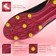thumbnail image 2 of Botines de fútbol Vizari Bodega Firm Ground Youth, negro/rosa, talla 2, 2 of 3
