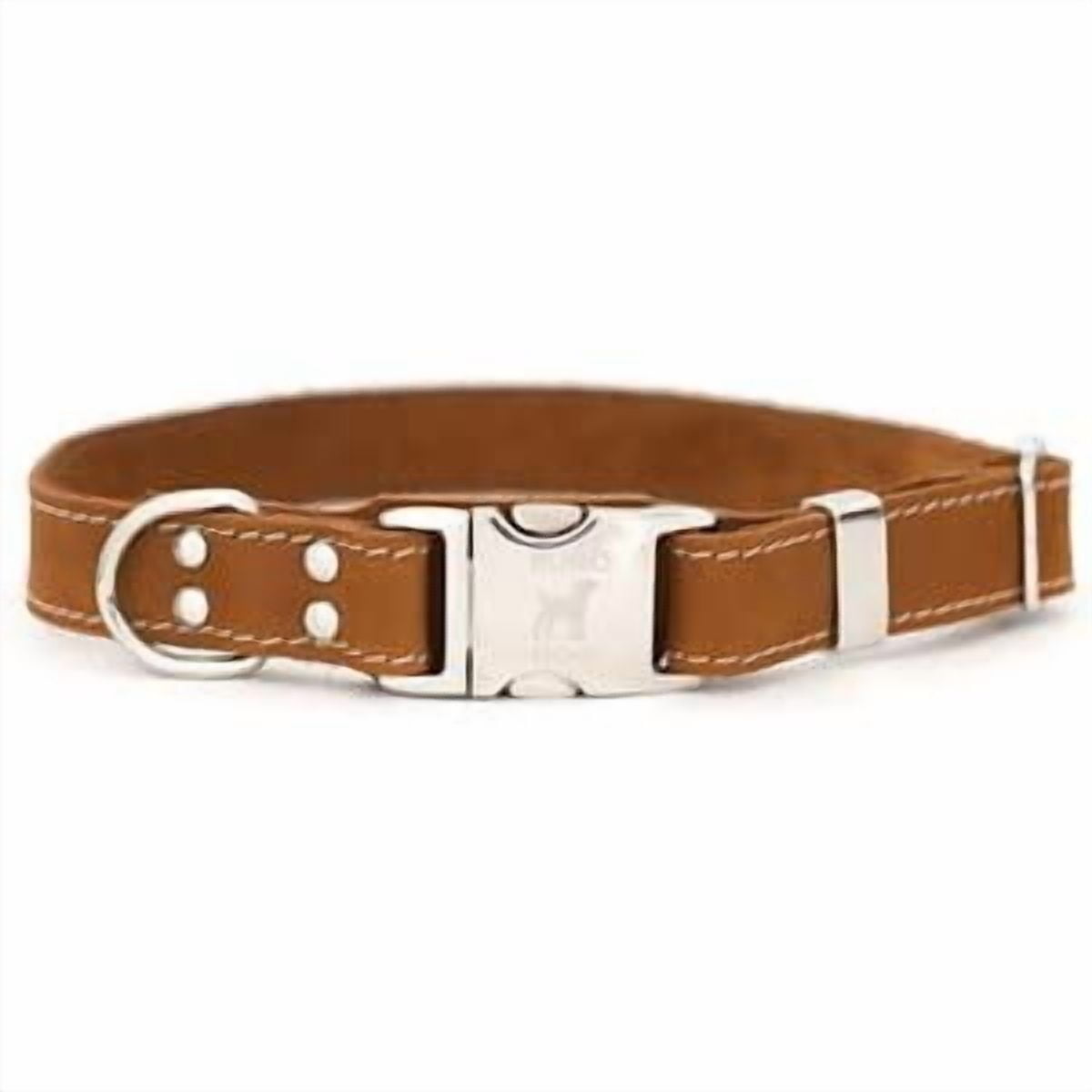 Collar Para Perros Euro-dog Asequible De Cuero De Lujo Europeo Xs