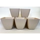 thumbnail image 1 of Set de 5 Maceteros Biodegradables Cuadrado Blanco, 1 of 3