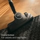 thumbnail image 3 of Aspiradora Miele Boost CX1 con bote de parquet sin bolsa, 3 of 3
