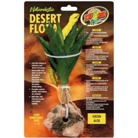 Terrario Plant Zoo Med Green Aloe Desert Flora