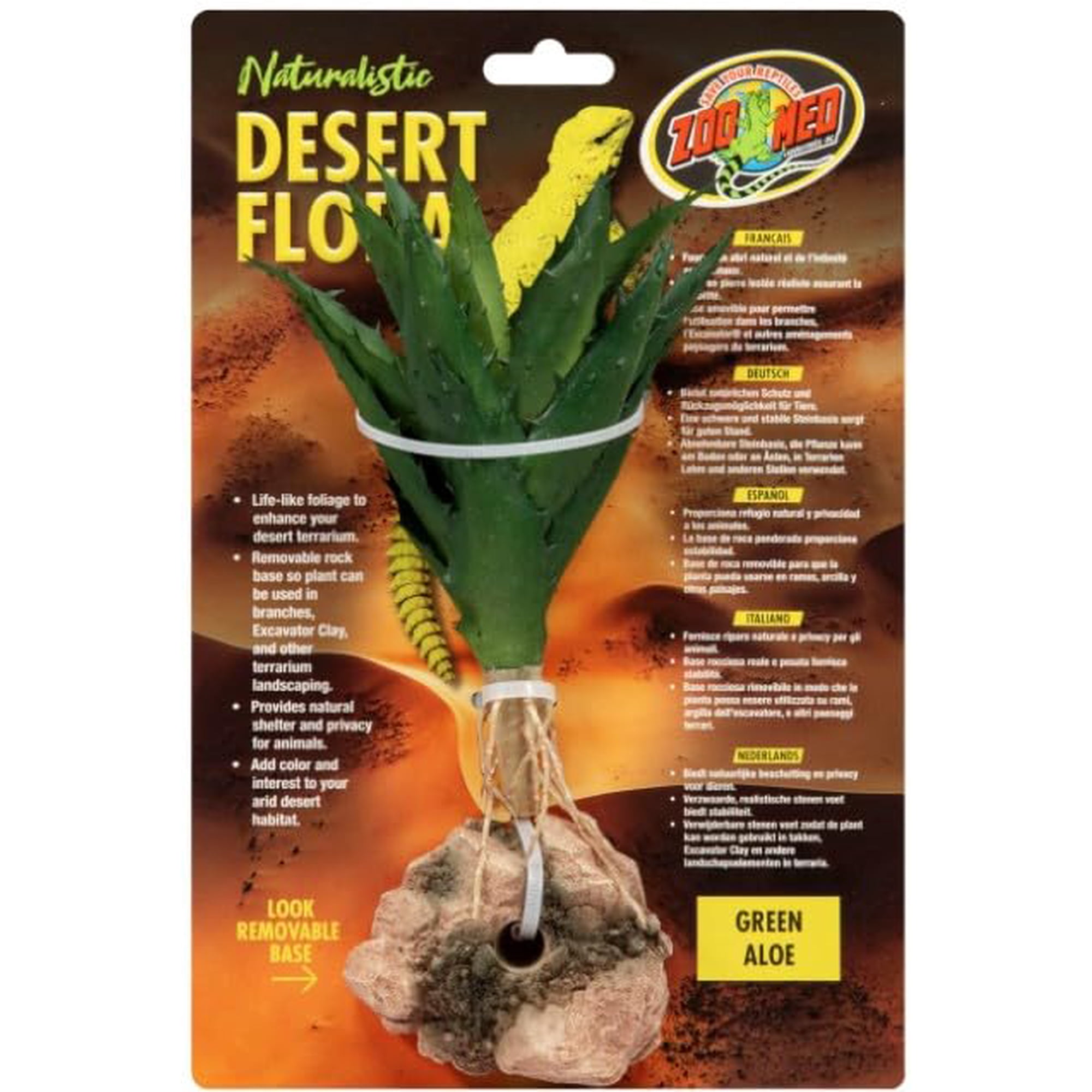 Terrario Plant Green Aloe Desert Flora