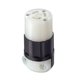 thumbnail image 1 of Conector de bloqueo Leviton 15A 125V NEMA L5-15R Industrial, 1 of 1