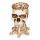 thumbnail image 1 of Maceta De Calavera Modelo Escultórico Macetero De Plantas Suculentas Decoración Del Hogar Blanco, 1 of 5