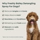 thumbnail image 2 of Spray desenredante Doodle Freshly Bailey para perros, 473 ml, 2 of 7