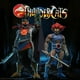 thumbnail image 3 of Figura de acción Super7 ULTIMATES! Thundercats Lion-O de 18 cm con LED, 3 of 3