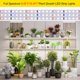 thumbnail image 2 of Tira de luz de cultivo LED FOSUO 5 m 120 W 2100 LEDs Espectro completo, 2 of 8