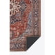 thumbnail image 3 of Alfombra Momeni Afshar de poliéster, 60 cm x 90 cm, color rojo, 3 of 8