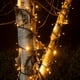 thumbnail image 2 of Guirnalda Solar 100 Luces Led, 2 of 3