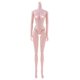 thumbnail image 4 of 1/6 BJD Nude Doll Busto Medio Mujer Con Articulación De Bola Partes Del Cuerpo Accesorio, 4 of 5
