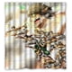 thumbnail image 1 of Cortina de ducha con diseño de la bestia de Attack on Titan, juego de cortinas de baño con ganchos, tamaño 60 x 72 pulgadas, 1 of 3